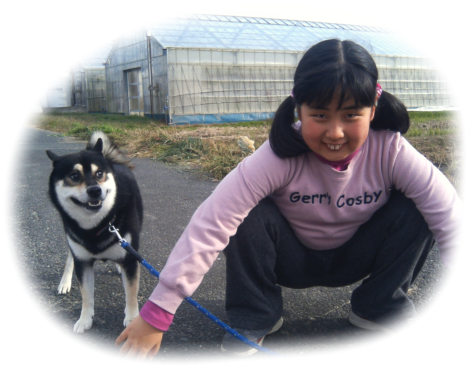 柴犬と少女