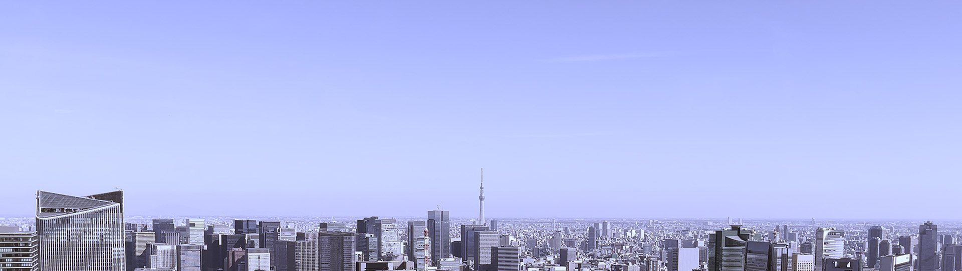 東京の街並みとスカイツリー